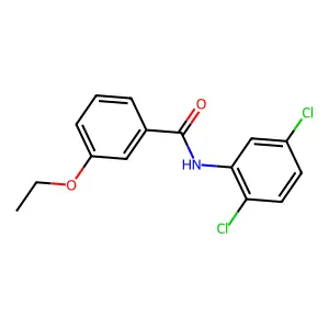 N-(2,5-二氯苯基)-3-乙氧基苯甲酰胺 structure