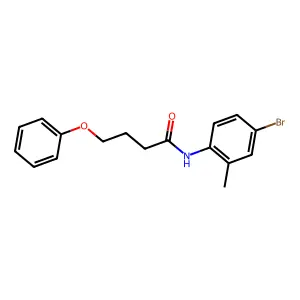 N-(4-bromo-2-methylphenyl)-4-phenoxybutanamide structure