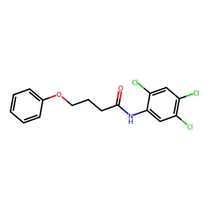 4-phenoxy-N-(2,4,5-trichlorophenyl)butanamide structure