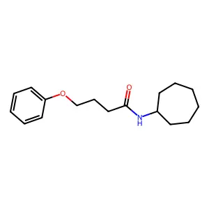 N-cycloheptyl-4-phenoxybutanamide structure