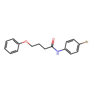 N-(4-bromophenyl)-4-phenoxybutanamide structure