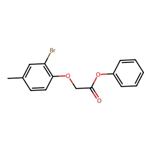 Phenyl 2-(2-bromo-4-methylphenoxy)acetate structure