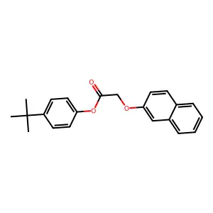4-Tert-butylphenyl (naphthalen-2-yloxy)acetate structure