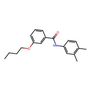 3-butoxy-N-(3,4-dimethylphenyl)benzamide structure