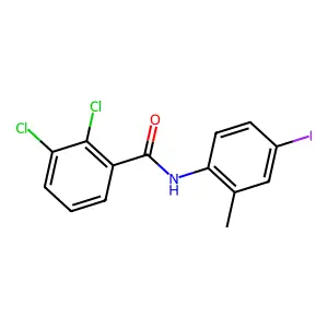 2,3-dichloro-N-(4-iodo-2-methylphenyl)benzamide structure
