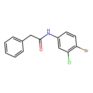 N-(4-bromo-3-chlorophenyl)-2-phenylacetamide structure