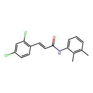 (E)-3-(2,4-dichlorophenyl)-N-(2,3-dimethylphenyl)prop-2-enamide structure