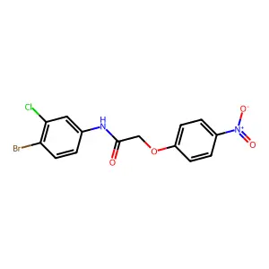 N-(4-bromo-3-chlorophenyl)-2-(4-nitrophenoxy)acetamide structure
