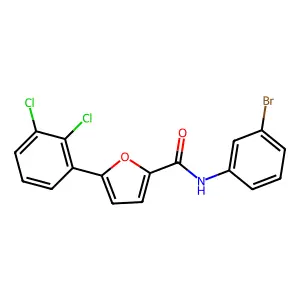N-(3-bromophenyl)-5-(2,3-dichlorophenyl)furan-2-carboxamide structure