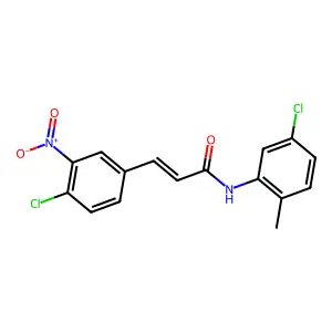 (E)-N-(5-chloro-2-methylphenyl)-3-(4-chloro-3-nitrophenyl)prop-2-enamide structure
