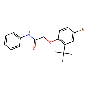 2-(4-bromo-2-tert-butylphenoxy)-N-phenylacetamide structure