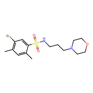 [(5-Bromo-2,4-dimethylphenyl)sulfonyl](3-morpholin-4-ylpropyl)amine structure