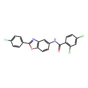 2,4-dichloro-N-[2-(4-fluorophenyl)-1,3-benzoxazol-5-yl]benzamide structure