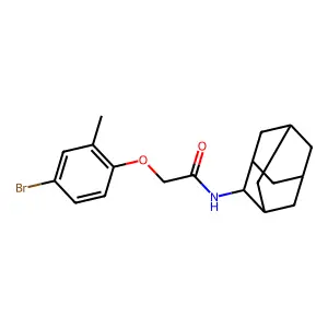 N-(2-adamantyl)-2-(4-bromo-2-methylphenoxy)acetamide structure