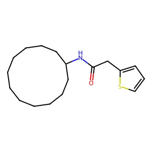 N-cyclododecyl-2-(thiophen-2-yl)acetamide structure