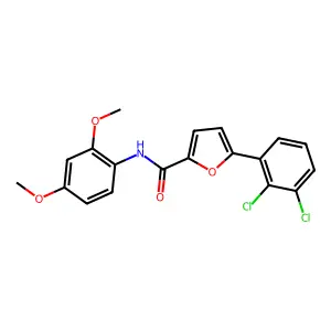 5-(2,3-dichlorophenyl)-N-(2,4-dimethoxyphenyl)furan-2-carboxamide structure