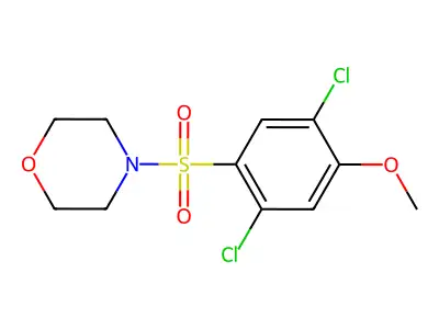 4-[(2,5-Dichloro-4-methoxyphenyl)sulfonyl]morpholine structure