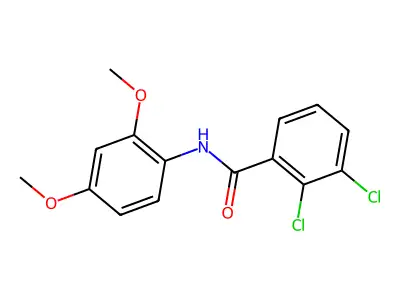 2,3-dichloro-N-(2,4-dimethoxyphenyl)benzamide structure