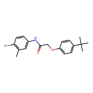 N-(4-bromo-3-methylphenyl)-2-(4-tert-butylphenoxy)acetamide structure