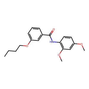 3-butoxy-N-(2,4-dimethoxyphenyl)benzamide structure