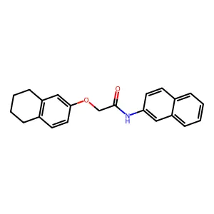 N-naphthalen-2-yl-2-(5,6,7,8-tetrahydronaphthalen-2-yloxy)acetamide structure