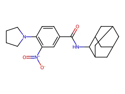 N-(2-adamantyl)-3-nitro-4-pyrrolidin-1-ylbenzamide structure