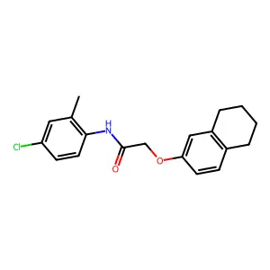 N-(4-chloro-2-methylphenyl)-2-(5,6,7,8-tetrahydronaphthalen-2-yloxy)acetamide structure