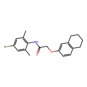 N-(4-bromo-2,6-dimethylphenyl)-2-(5,6,7,8-tetrahydronaphthalen-2-yloxy)acetamide structure