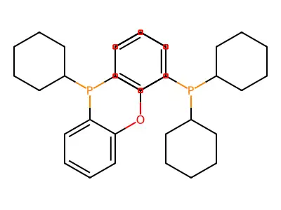 Bis(2-dicyclohexylphosphinophenyl)ether structure