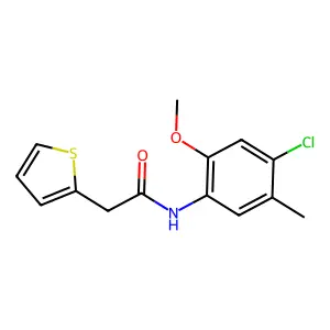 N-(4-chloro-2-methoxy-5-methylphenyl)-2-thiophen-2-ylacetamide structure