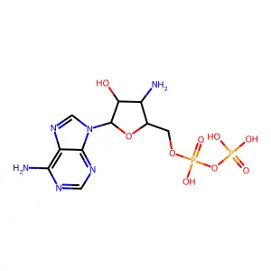 3'-Deoxy 3'-Amino Adenosine-5'-Diphosphate structure