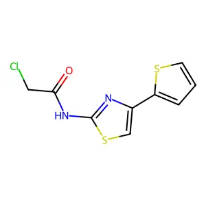 2-chloro-N-[4-(thiophen-2-yl)-1,3-thiazol-2-yl]acetamide structure