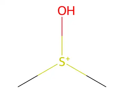 Sulfonium, hydroxydimethyl- structure