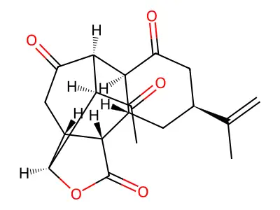 Horiolide structure