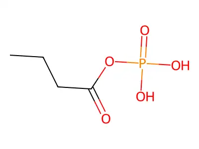 丁酰磷酸 structure