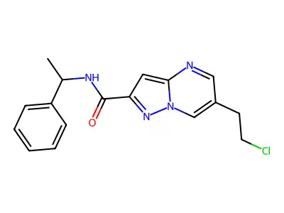 6-(2-chloroethyl)-N-(1-phenylethyl)pyrazolo[1,5-a]pyrimidine-2-carboxamide structure