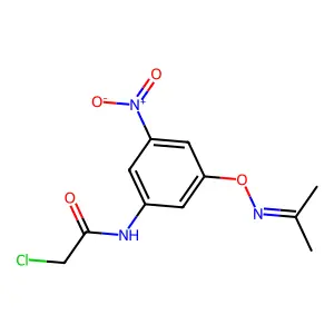 2-chloro-N-(3-nitro-5-{[(1-methylethylidene)amino]oxy}phenyl)acetamide structure