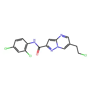 6-(2-chloroethyl)-N-(2,4-dichlorophenyl)pyrazolo[1,5-a]pyrimidine-2-carboxamide structure