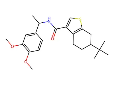 6-tert-butyl-N-[1-(3,4-dimethoxyphenyl)ethyl]-4,5,6,7-tetrahydro-1-benzothiophene-3-carboxamide structure