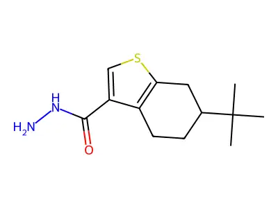 6-Tert-butyl-4,5,6,7-tetrahydro-1-benzothiophene-3-carbohydrazide structure