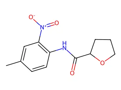 N-(4-methyl-2-nitrophenyl)oxolane-2-carboxamide structure