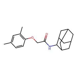 N-(2-adamantyl)-2-(2,4-dimethylphenoxy)acetamide structure