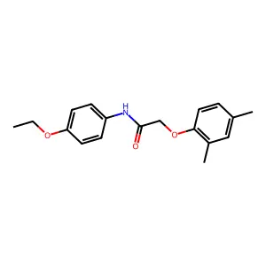 2-(2,4-Dimethylphenoxy)-N-(4-ethoxyphenyl)acetamide structure