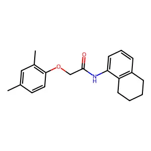 2-(2,4-dimethylphenoxy)-N-(5,6,7,8-tetrahydronaphthalen-1-yl)acetamide structure
