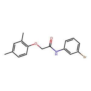 N-(3-bromophenyl)-2-(2,4-dimethylphenoxy)acetamide structure