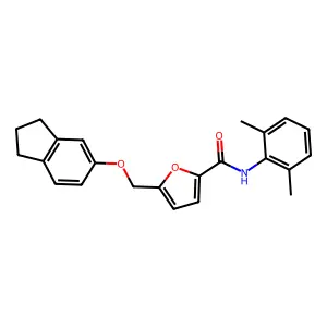 5-(2,3-dihydro-1H-inden-5-yloxymethyl)-N-(2,6-dimethylphenyl)furan-2-carboxamide structure