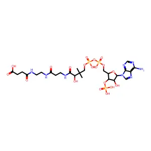 Succinamide-CoA structure