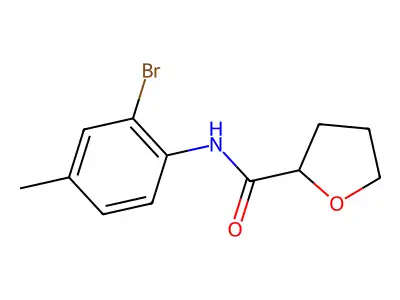 N-(2-bromo-4-methylphenyl)oxolane-2-carboxamide structure