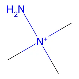1,1,1-Trimethylhydrazin-1-ium structure