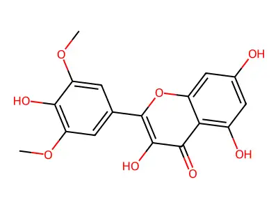 丁香亭 structure